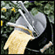 Healthy Lawns